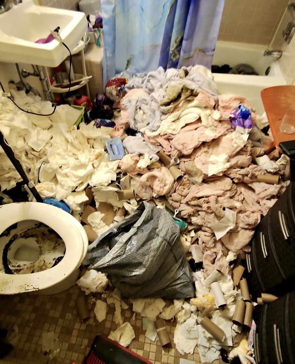 Bathroom before a hoarder house cleanout